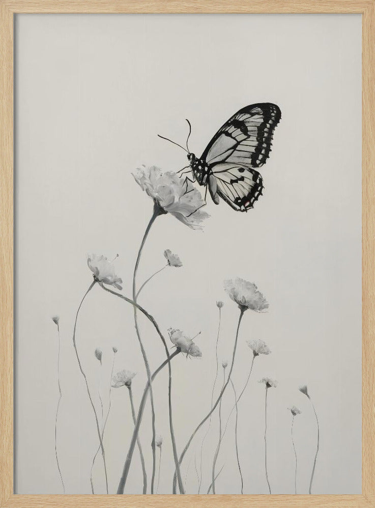 Butterfly and Flowers Poster