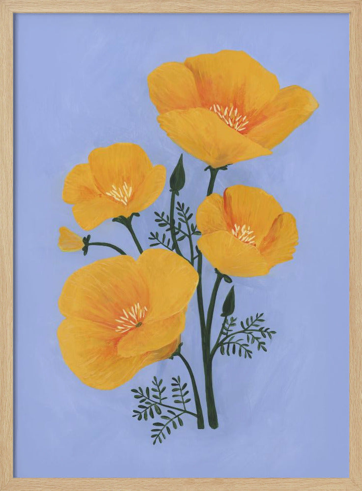 Bouquet of orange California poppies Poster