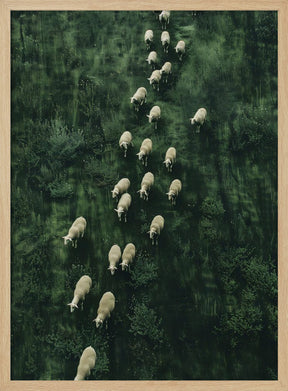 Wanderingsheeps Poster