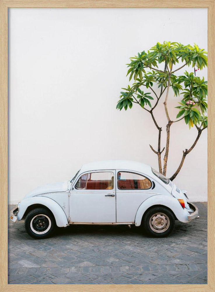 Pastel Volskwagen Beetle in the streets of Oaxaca Mexico Poster