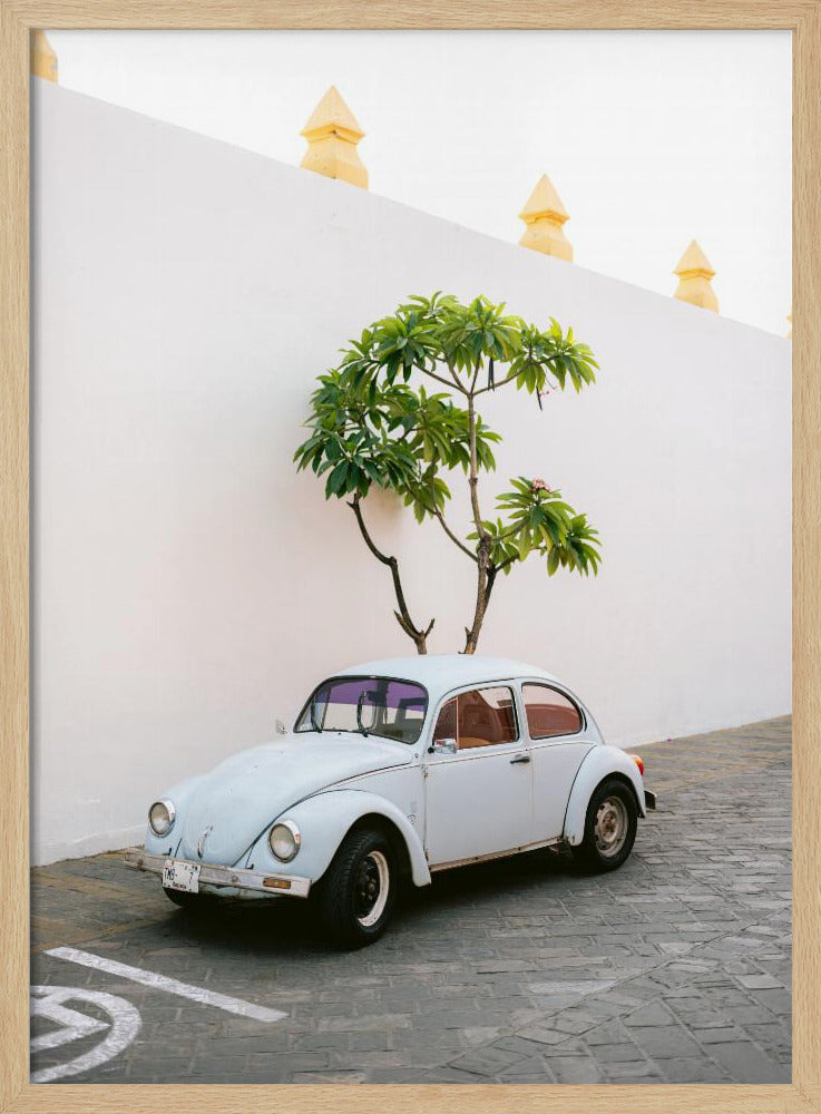 Pastel Volskwagen Beetle in the streets of Oaxaca Mexico Poster