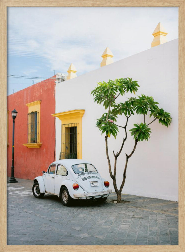 Pastel Volskwagen Beetle in the streets of Oaxaca Mexico Poster