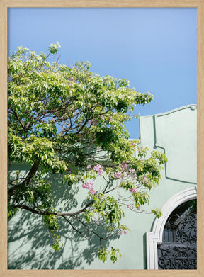 Pastel Oaxaca Architecture | Mexico travel photography Poster