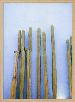 Tall Cacti on Blue | Oaxaca Mexico Travel Poster