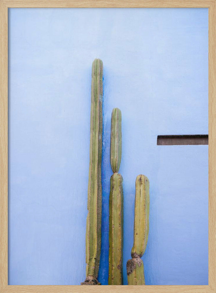 Tall Cacti on Blue | Oaxaca Mexico Travel Poster