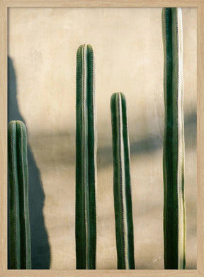 Oaxaca Shades of Green | Mexico travel photography Poster