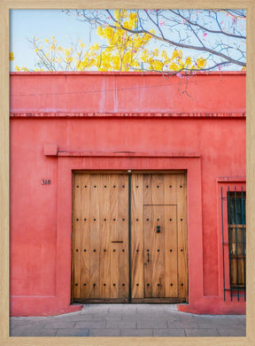 The Wooden Door | Botanical Oaxaca Mexico Poster