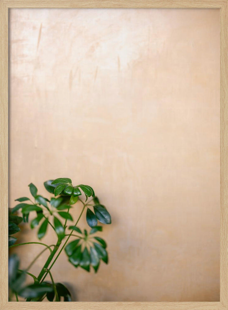 Botanical Oaxaca Scene | Mexico travel photography Poster