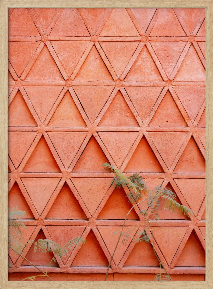 Coral details of Oaxacan Architecture in Mexico Poster