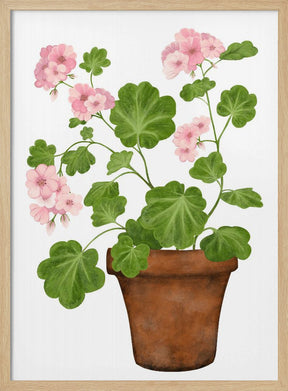 Pink Geranium Poster