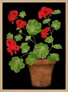 Red Geranium Poster