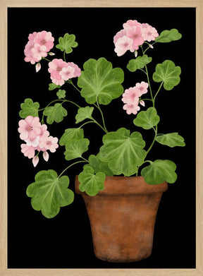 Pink Geranium Poster