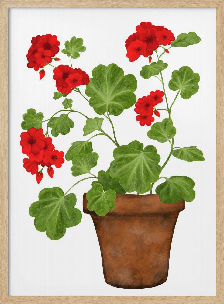 Red Geranium Poster