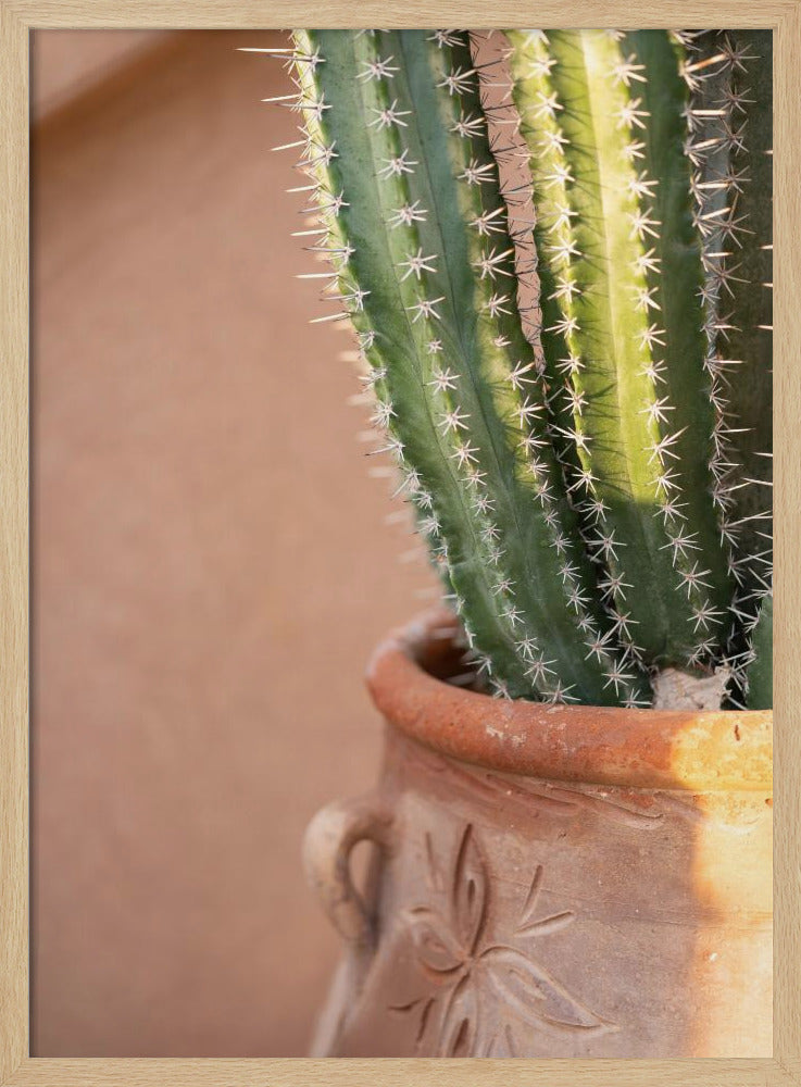 Green On Orange | Marrakech Travel Photography Poster