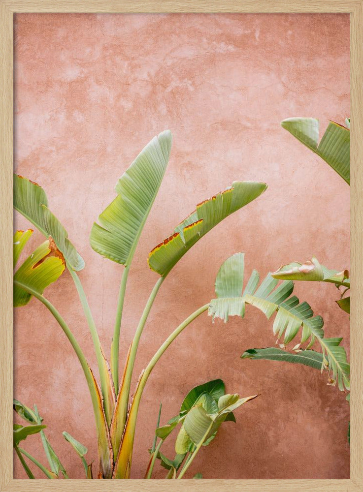 Palms of Ourika Morocco Poster