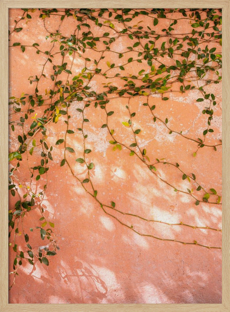 Botanical San Miguel de Allende | Mexico travel photography Poster