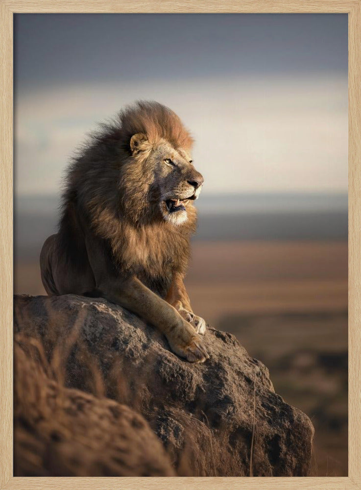 MountainLion Poster