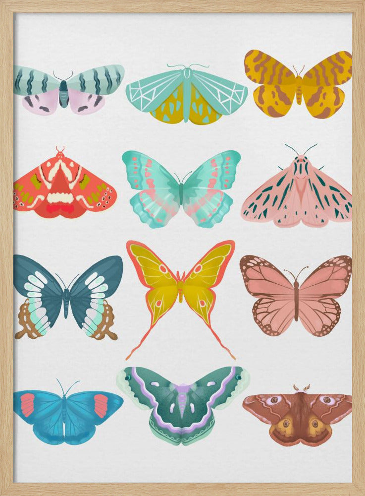 Butterfly Poster