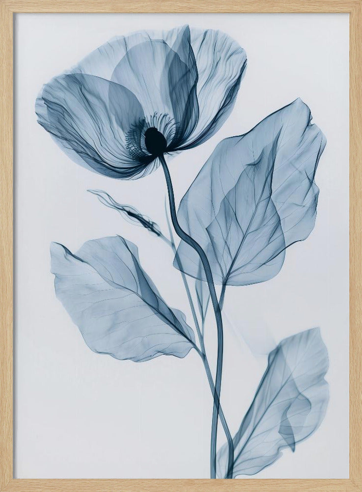 X-Rayed Flower Poster