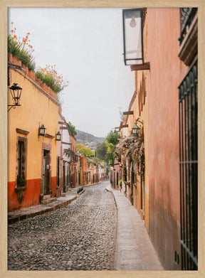 San Miguel de Allende | Mexico travel photography Poster