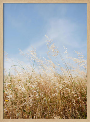 Moving Grass Poster