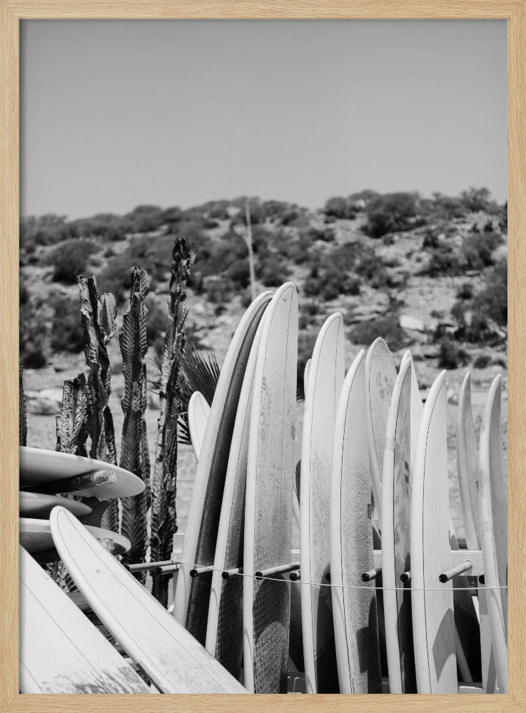 Surfboards in Black and White Poster