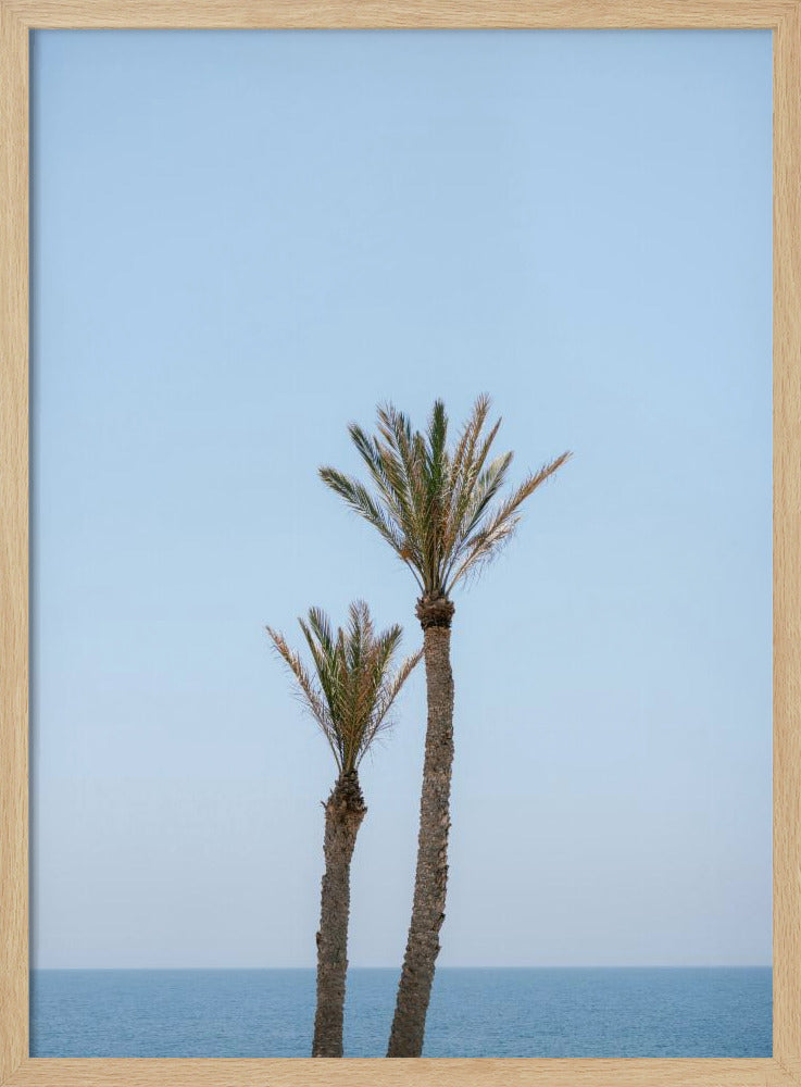 Moroccan Coast Palm Trees Poster