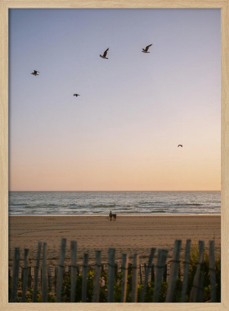 Moroccan Coast Sunset Poster