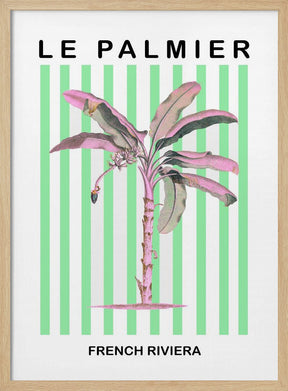 Stripedpalmpurplepink Ratioiso Poster