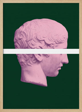 Ancientpinkgreen Ratio2x3 Poster