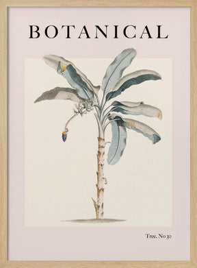 Botanicalno30 Ratioiso Poster