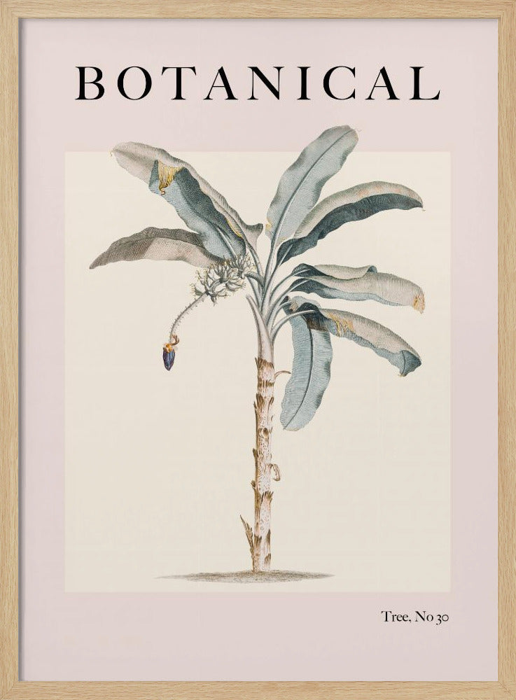 Botanicalno30 Ratioiso Poster