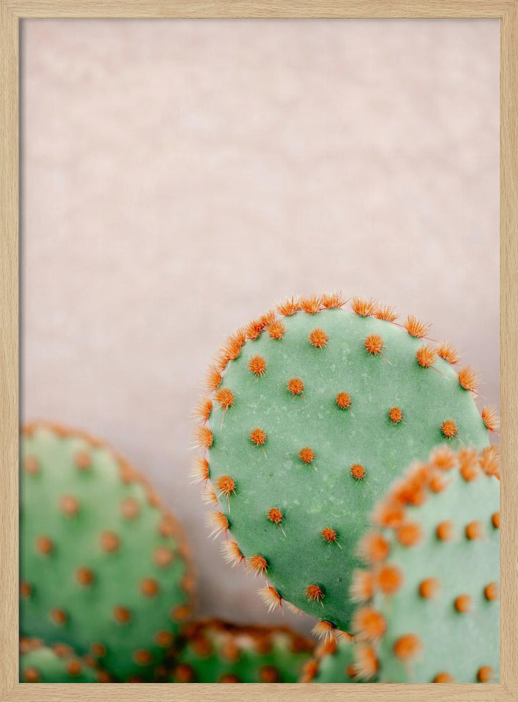 Cacti Pastel Tones Poster
