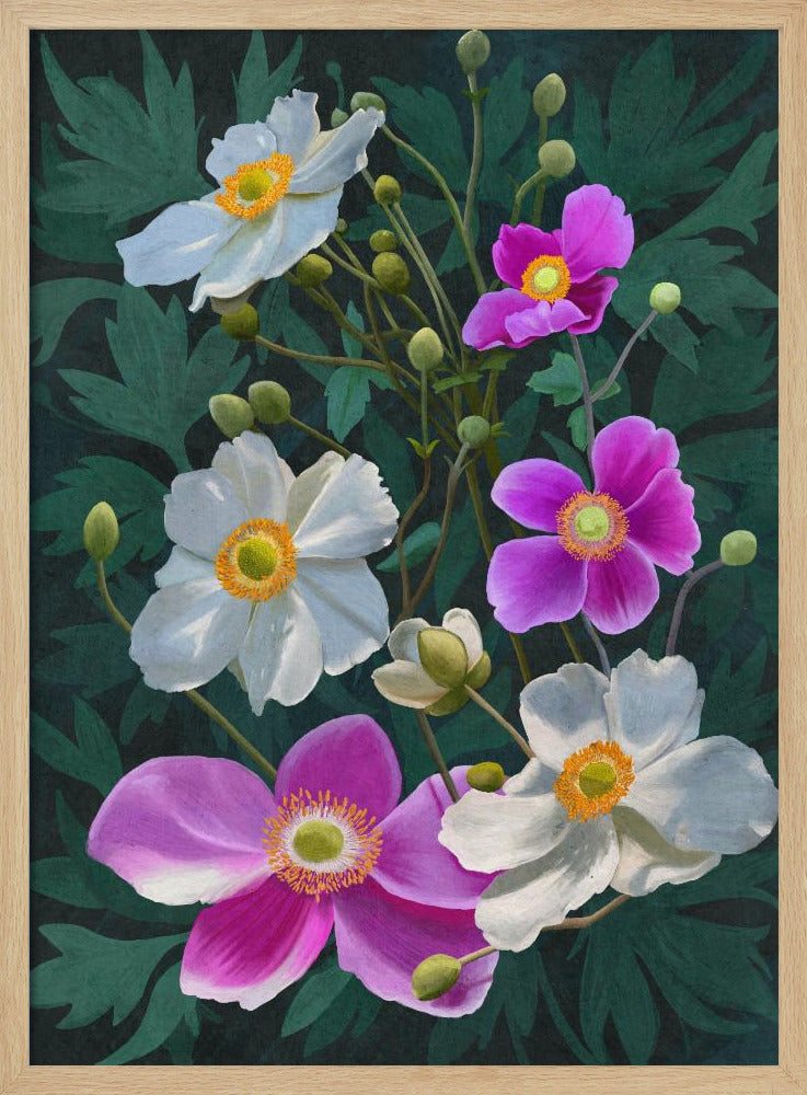 Anemone Flowers Poster