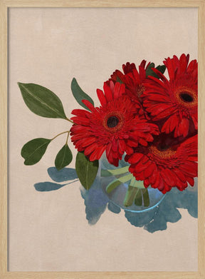 Gerbera Daisy Poster