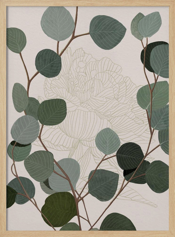 Round Eucalyptus Poster