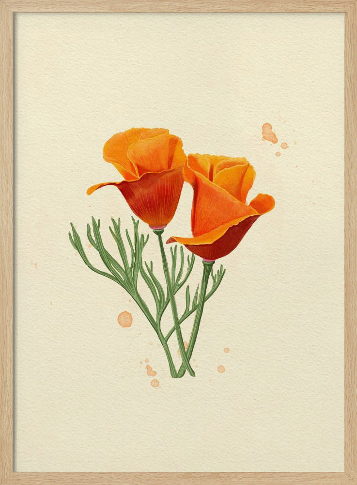 California Poppy Poster