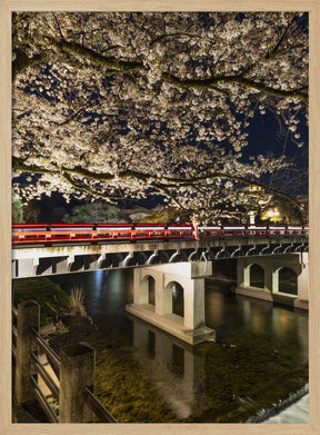 Charming Nakabashi Bridge in the evening Poster