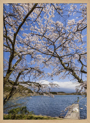 Charming Lake Tanuki with Mount Fuji Poster