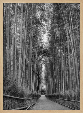 Mighty Arashiyama bamboo forest - monochrome Poster