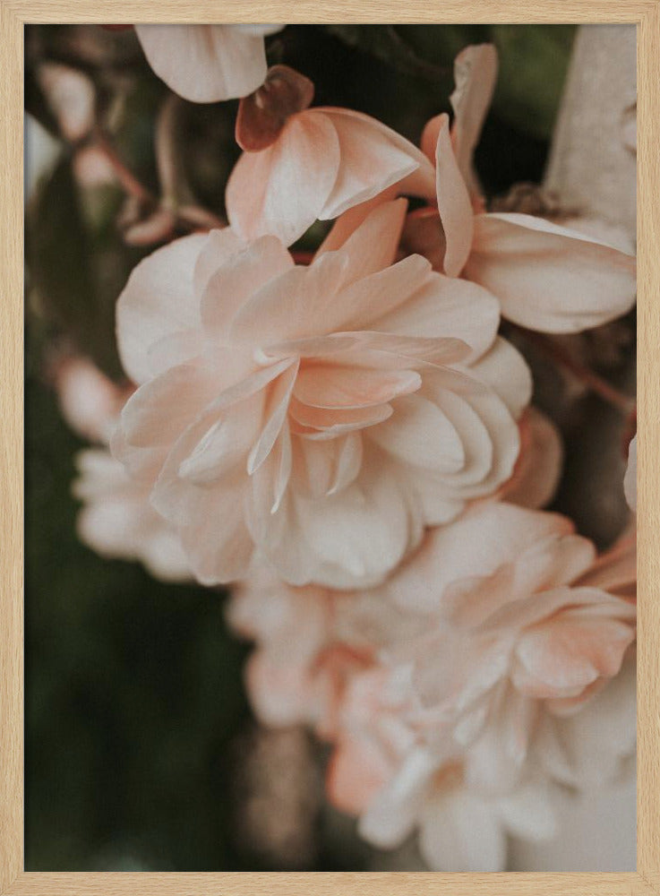 Pastel Flowers Poster