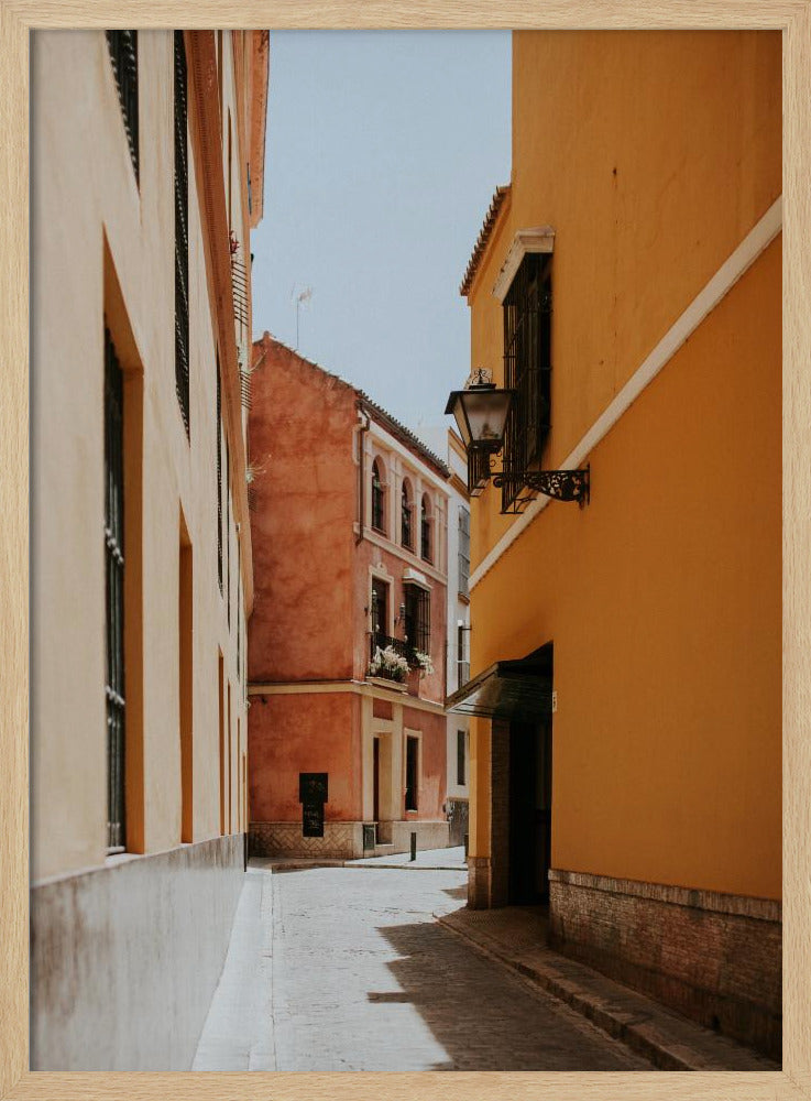 Terracotta Street Poster