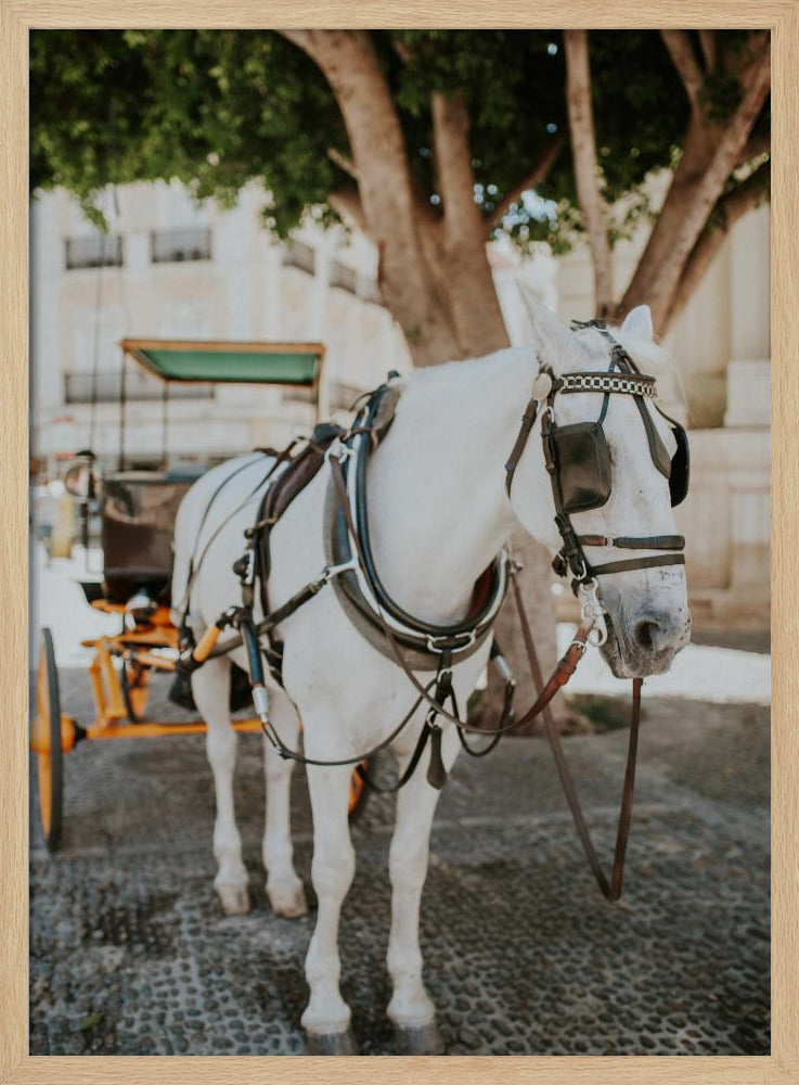 Sevilla White Horse Poster