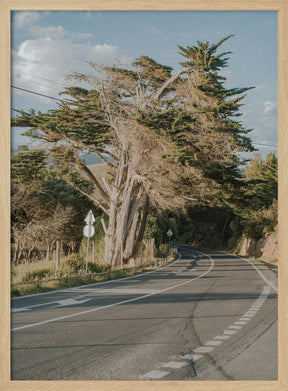 Summer Beach Road Poster