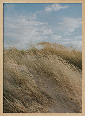 Dunes Poster