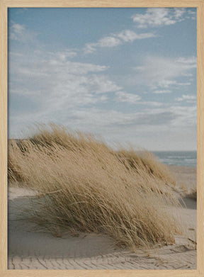 Summer Dunes Poster