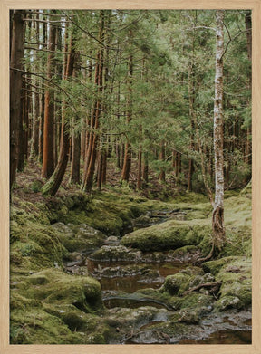 Green Forest Poster