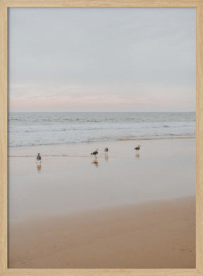 Four Seagulls Poster