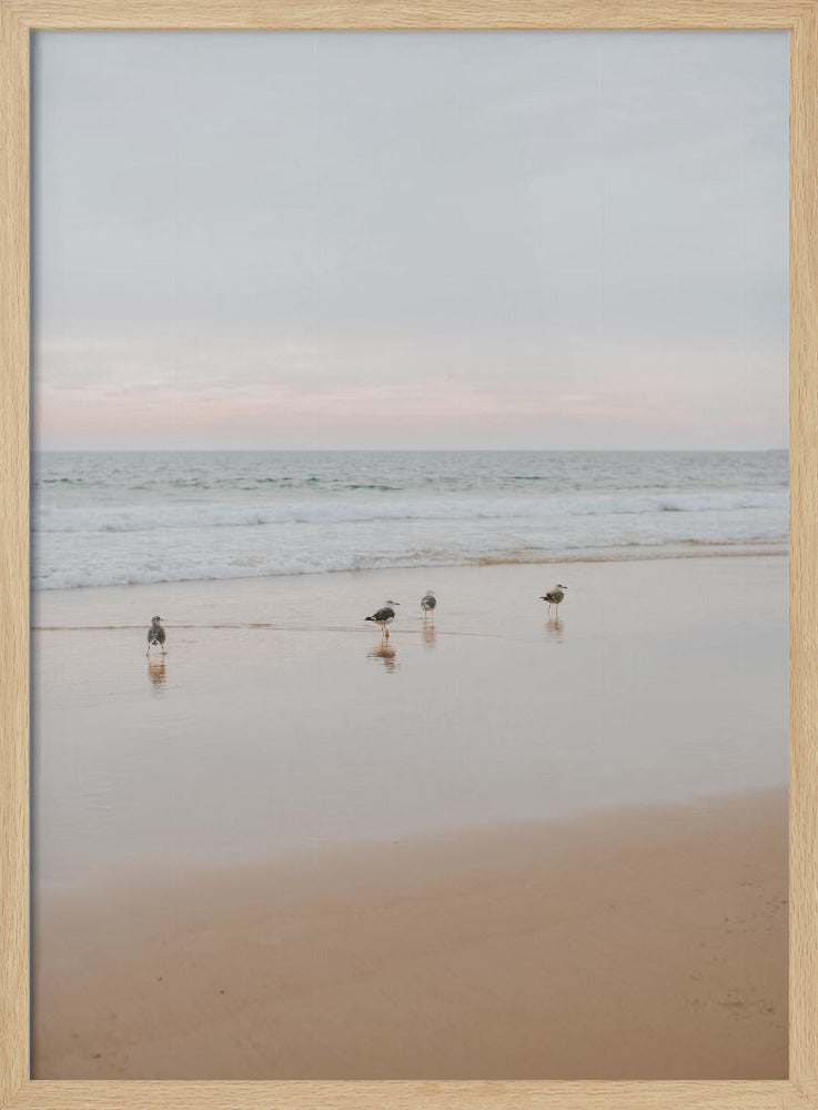 Four Seagulls Poster