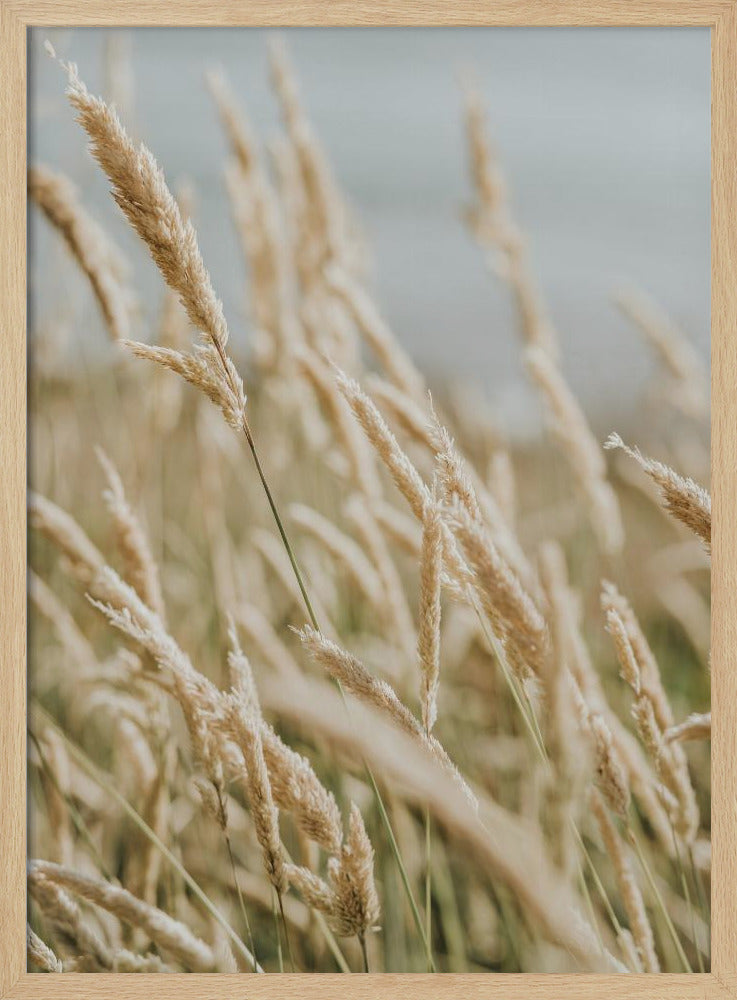 Beach Flora Poster